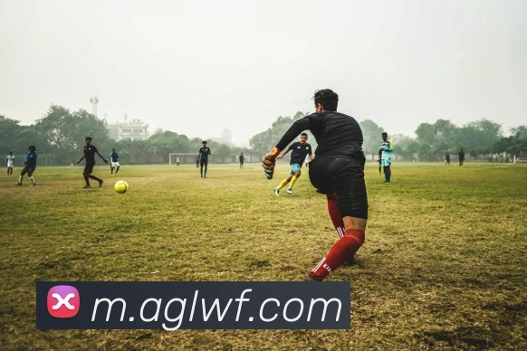 ag官网平台生态图